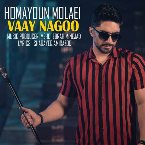Homayoun Molaei – Vaay Nagoo