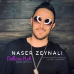 Naser Zeynali - Delbare Nab (Guitar Version)