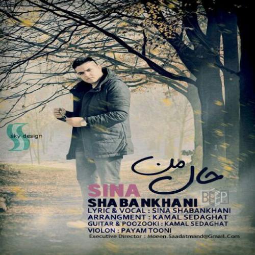 Sina Shabankhani - Hale Man
