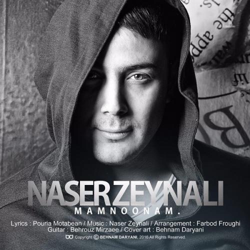 Naser Zeynali - Mamnoonam
