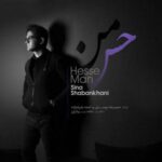 Sina Shabankhani - Hesse Man