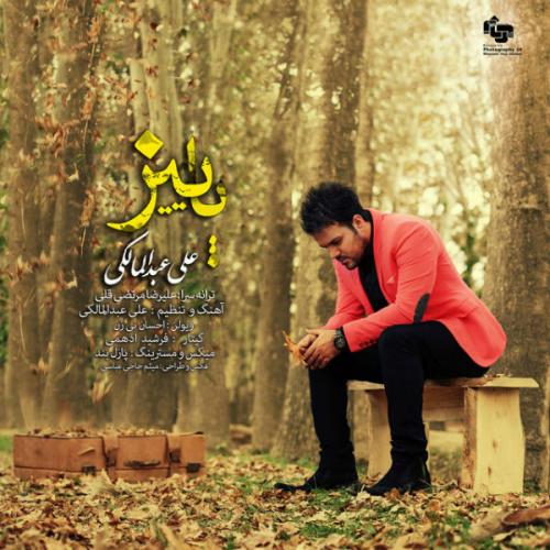 Ali Abdolmaleki - Paeiz