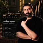 Saeed Asgari - Pashimoni