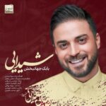 Babak Jahanbakhsh - Sheydaei