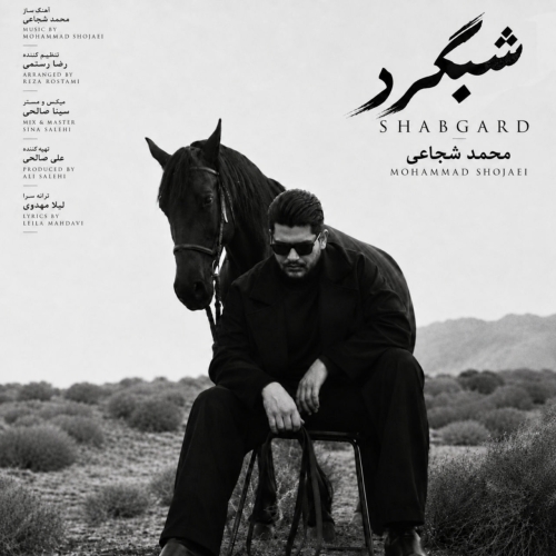 Mohammad Shojaei - Shabgard