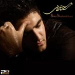 Sina Shabankhani - Sargije