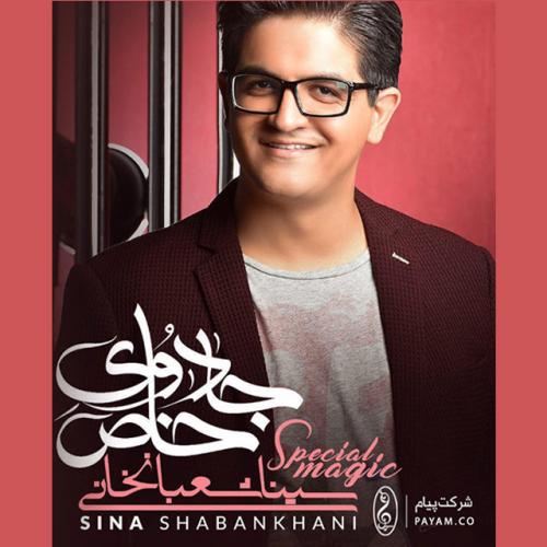 Sina Shabankhani - Baroon