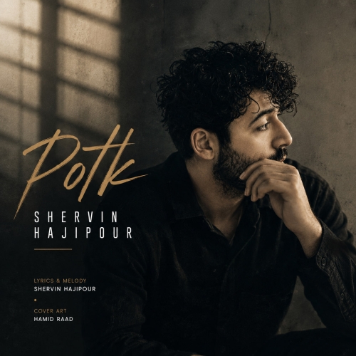 Shervin Hajipour - Potk