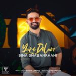 Sina Shabankhani - Yare Delam