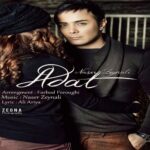 Naser Zeynali - Adat