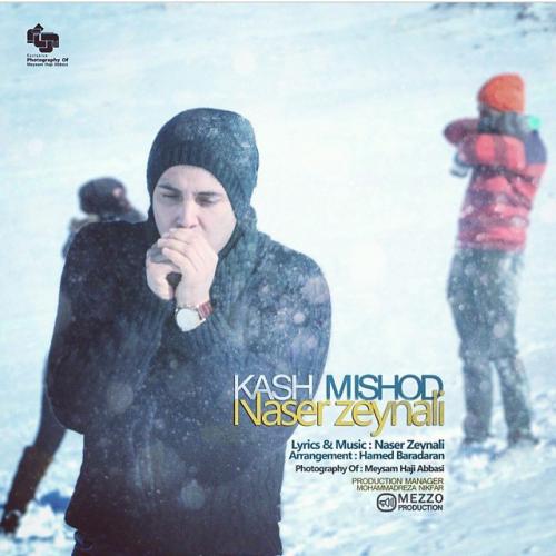 Naser Zeynali - Kash Mishod