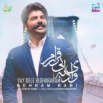Behnam Bani - Vay Dele Bighararam