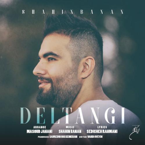 Shahin Banan - Deltangi