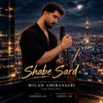 Milad AmirAnsari - Shabe Sard