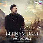 Behnam Bani - Hanooz Dooset Daram