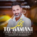 Farhad Tarverdi - To Hamani