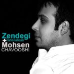 Mohsen Chavoshi - Zendegi Tahsilate Aali