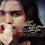 Mohsen Yeganeh - Kheili Delam Azat Pore