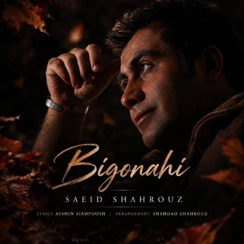 Saeid Shahrouz - Bi Gonahi