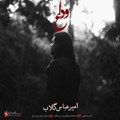 Amir Abbas Golab - Vedaa