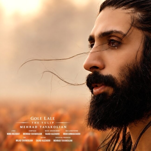 Mehrad Tavakolian - Gole Lale