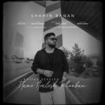 Shahin Banan - Hame Avalesh Khooban (Guitar Version)